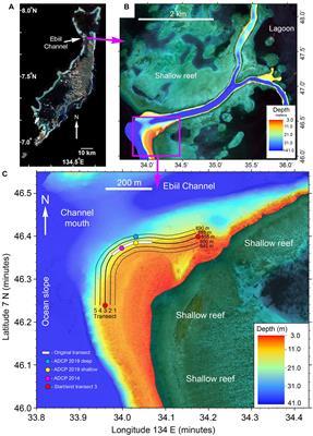 A Decade of Monitoring an Indo-Pacific Grouper Spawning Aggregation: Benefits of Protection and Importance of Survey Design